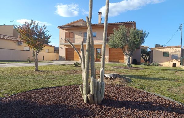 PHOTO-2026-03-04-18-46-01 (1)