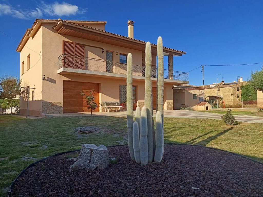 PHOTO-2026-03-04-18-46-01 (2)